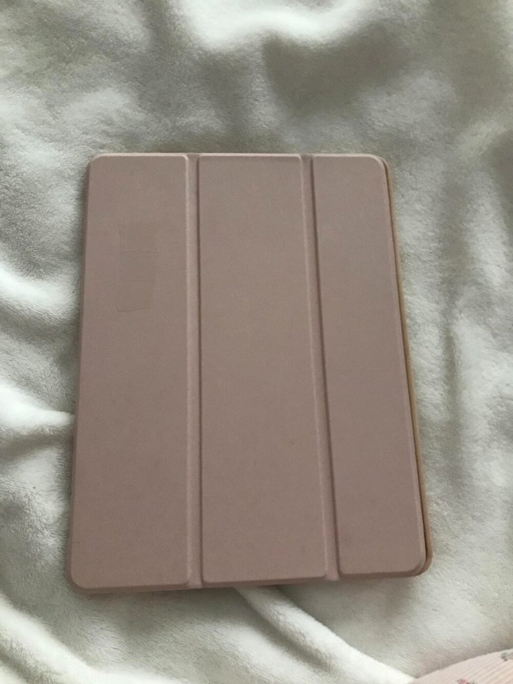 Light Pink Ipad Case